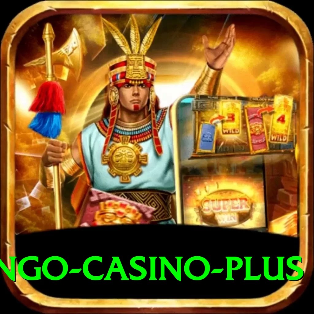 bingo - Casino Plus - 2